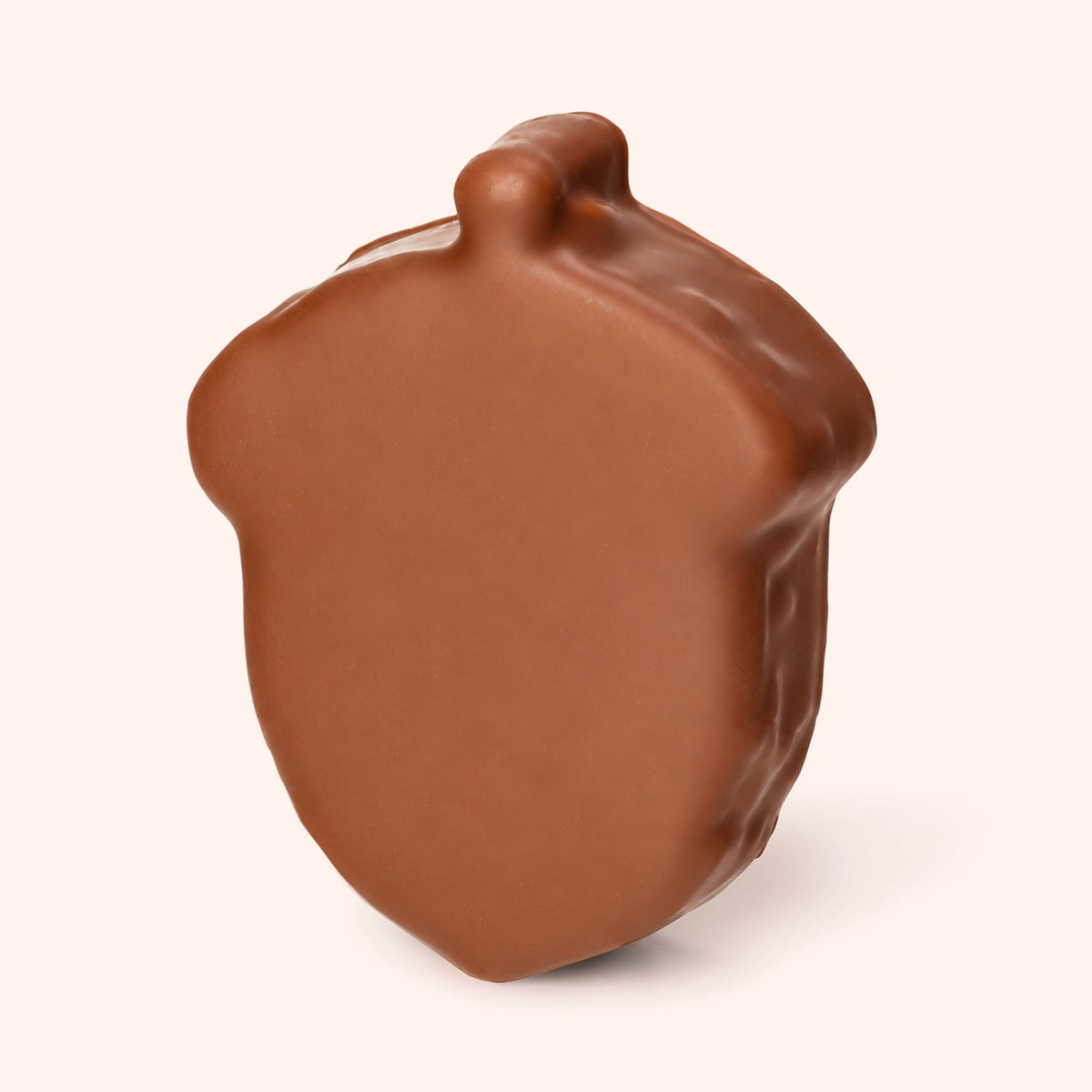 Marshmallow Acorn - Dark