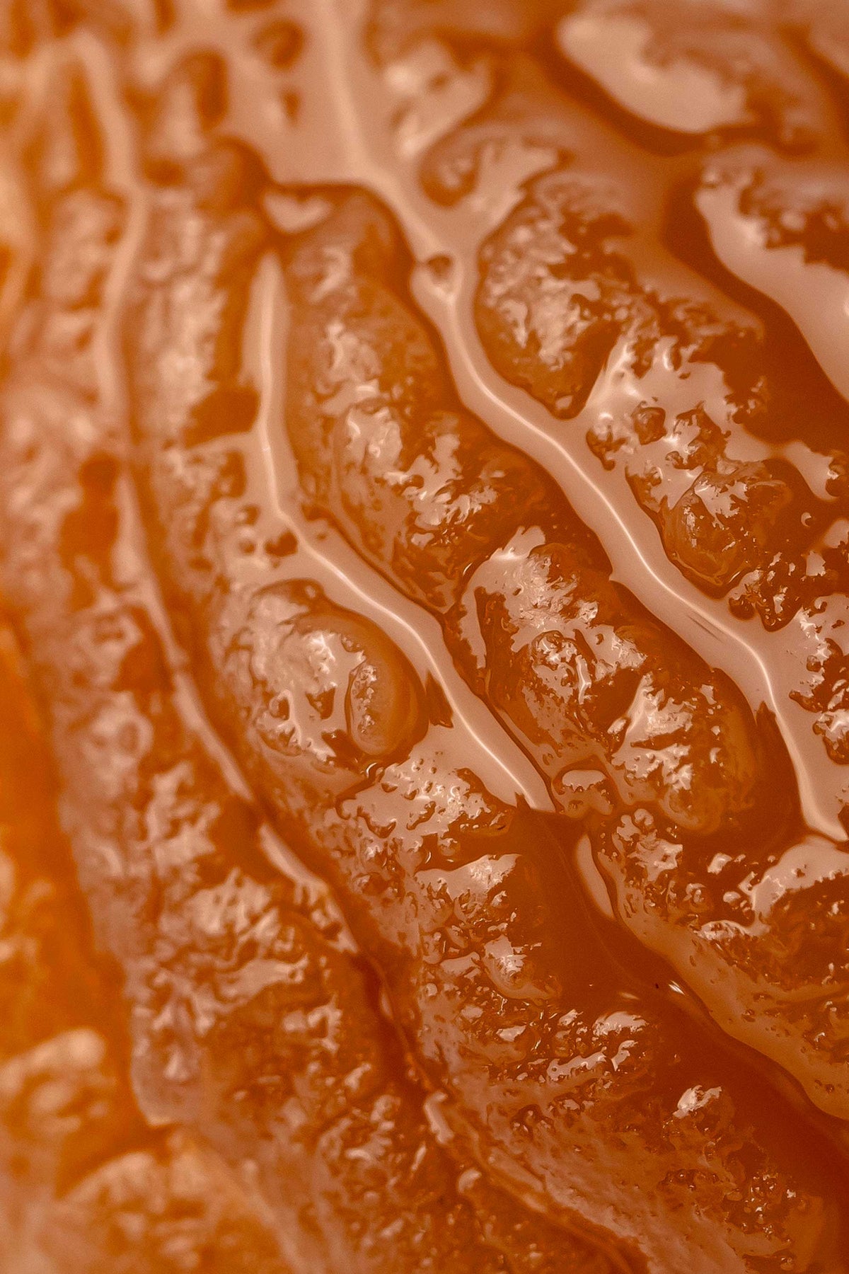 Coffret 1761 de 48 marrons glacés signature