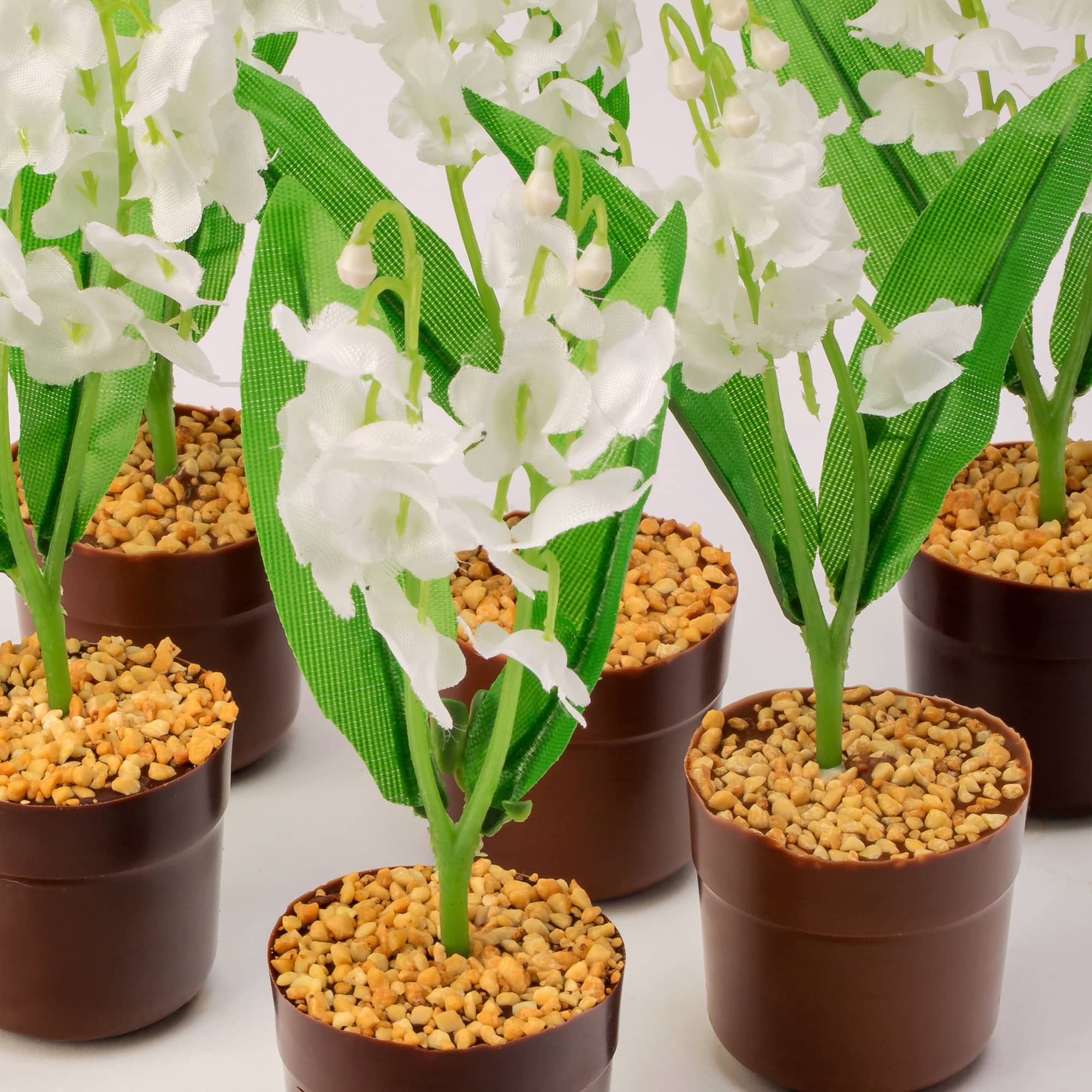 Lily of the valley with praline - Dark
