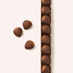 Chestnuts T2