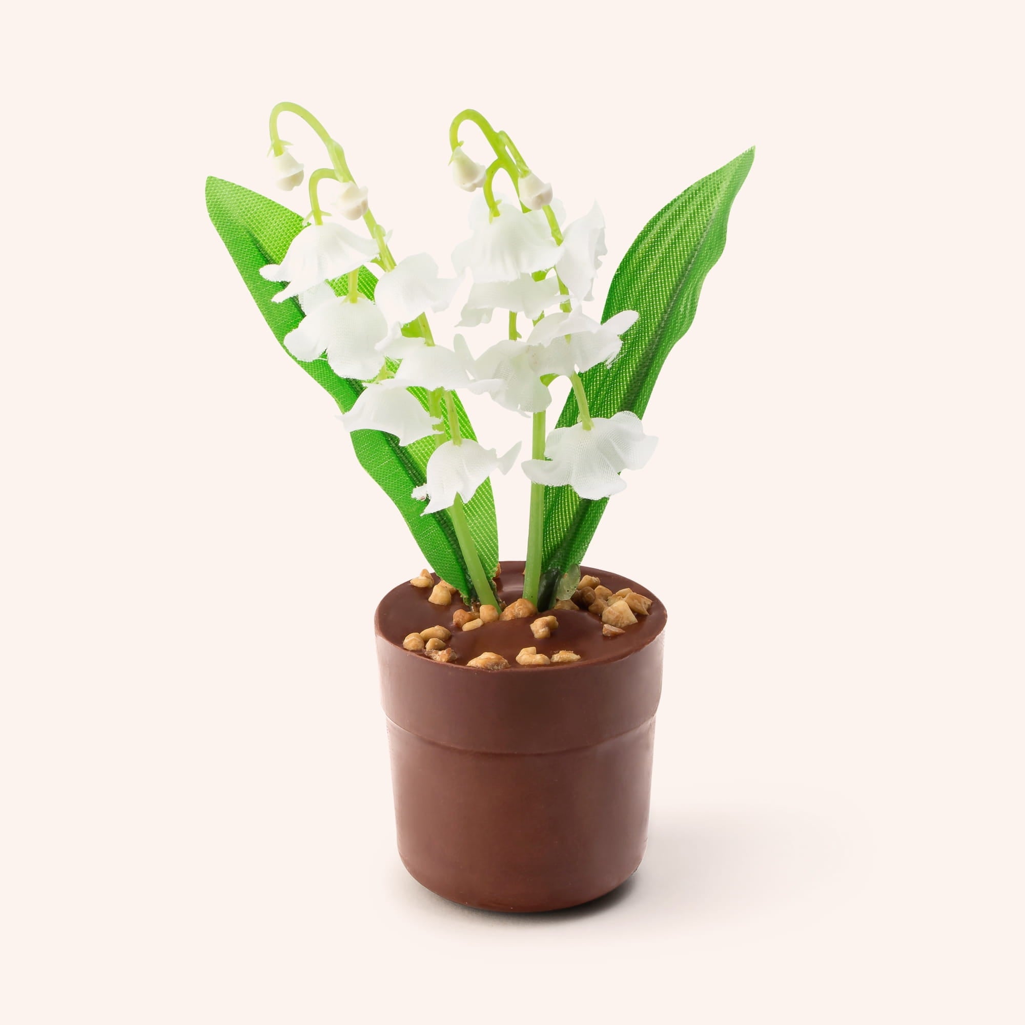 Lily of the valley with praline - Milk