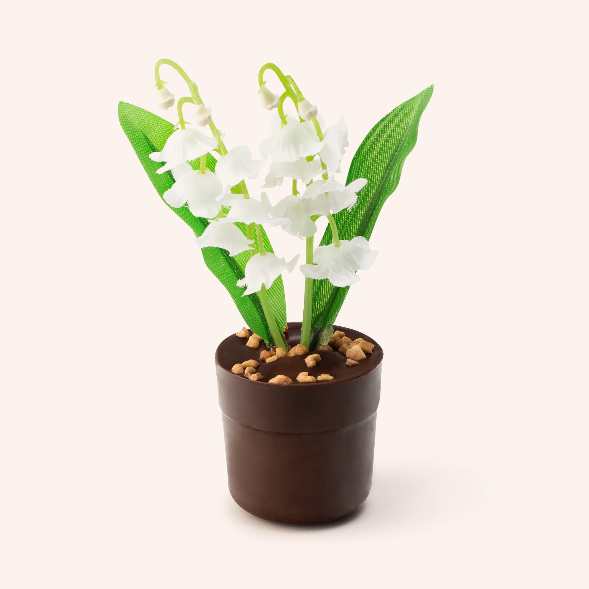 Lily of the valley with praline - Dark