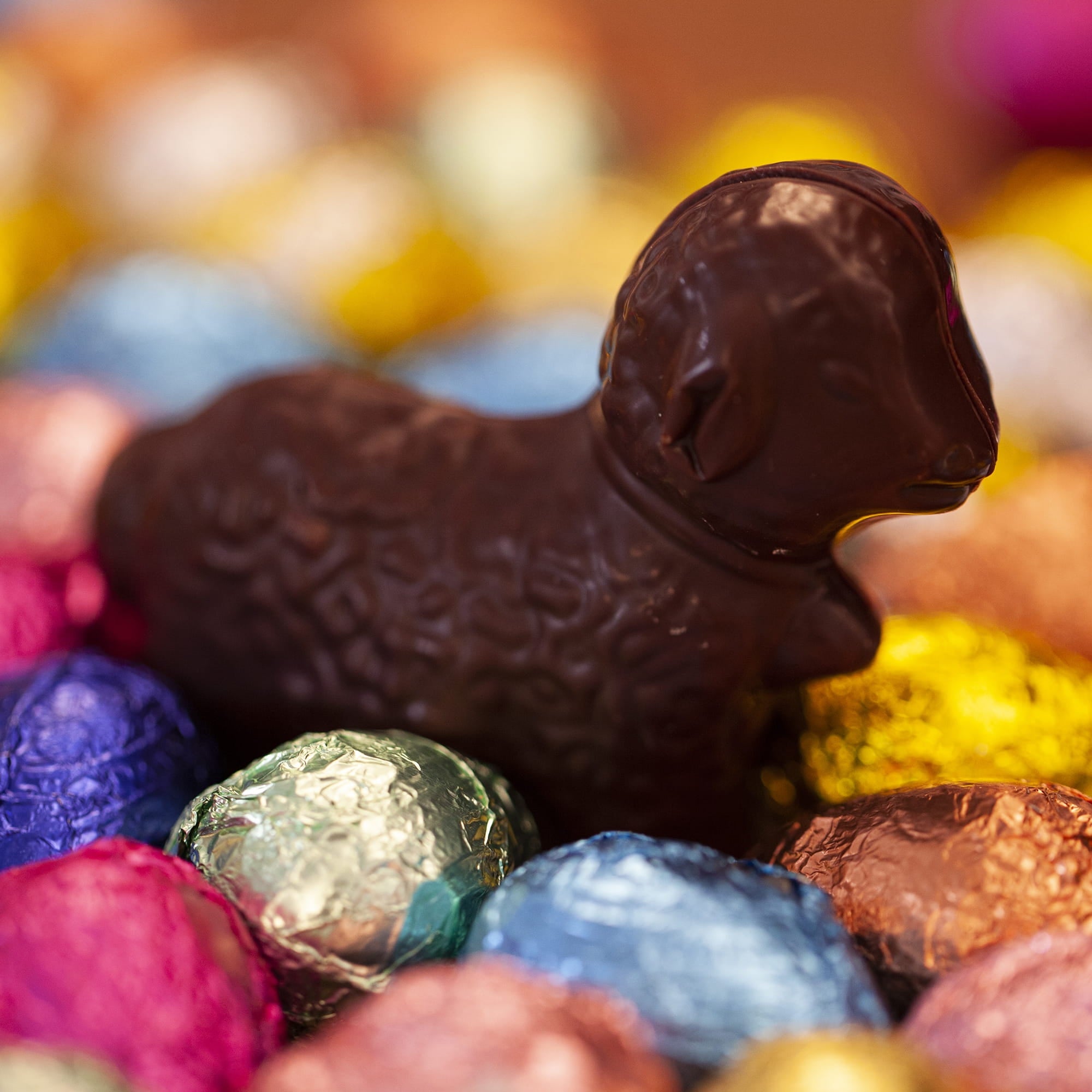 Agneau praliné - Noir