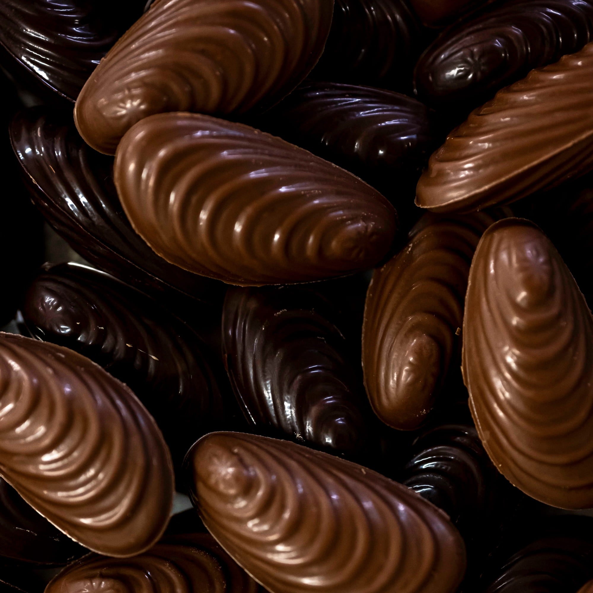 Sachet moules au praliné - Lait