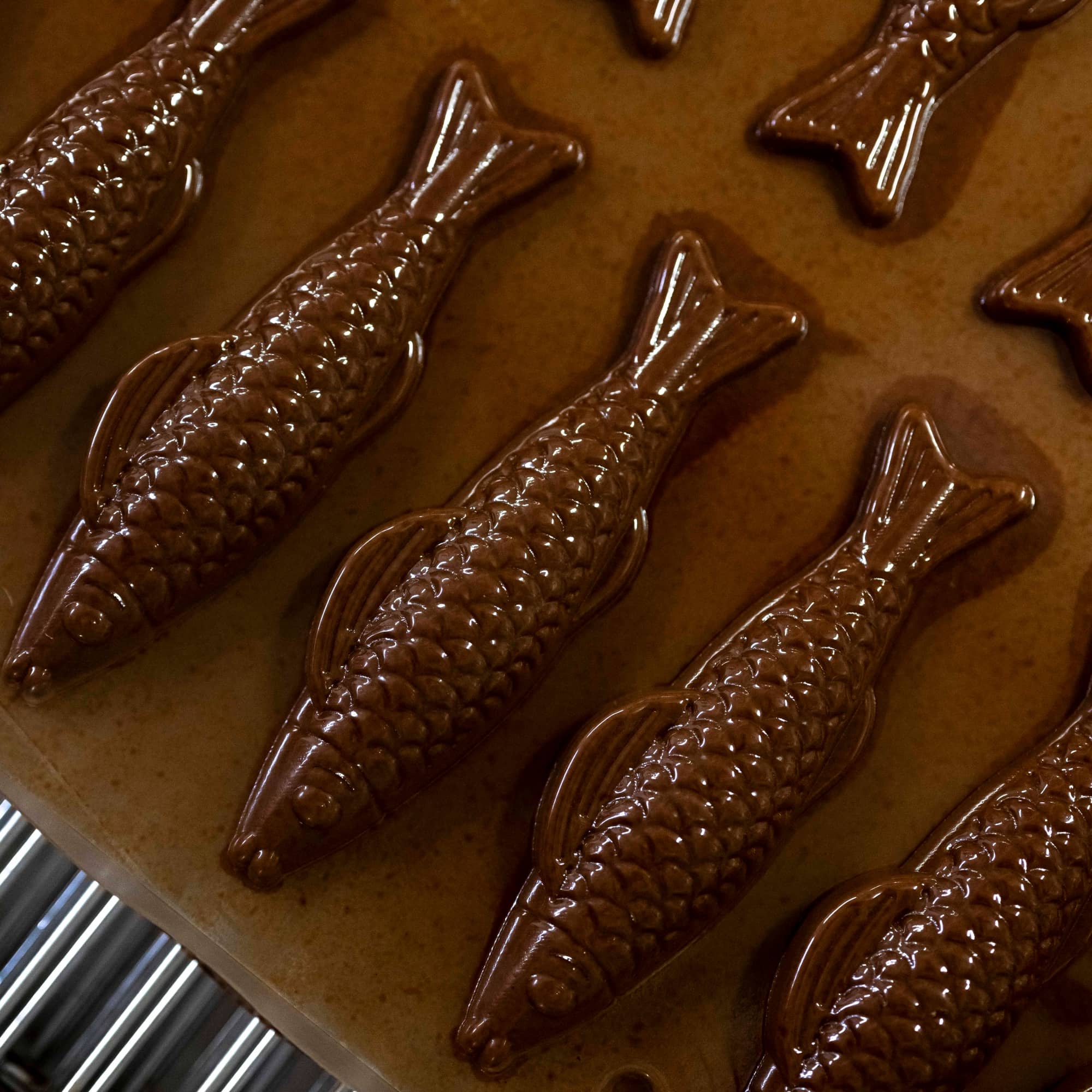 Sachet sardines au praliné