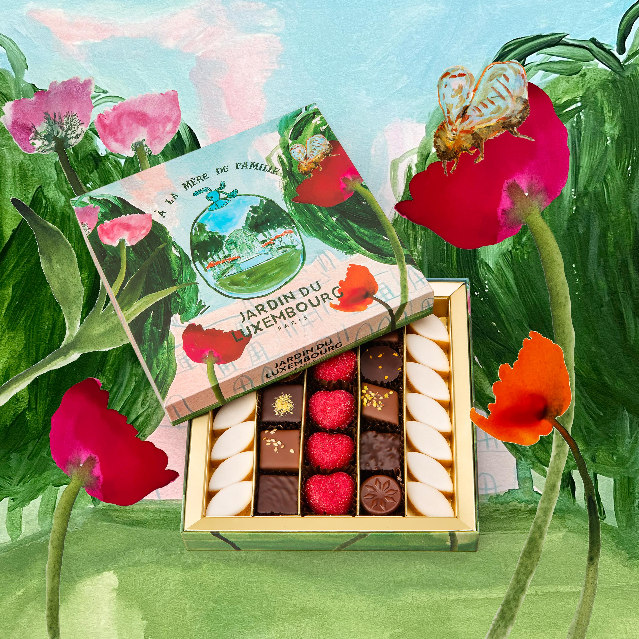 Coffret assorti x Jardin du Luxembourg