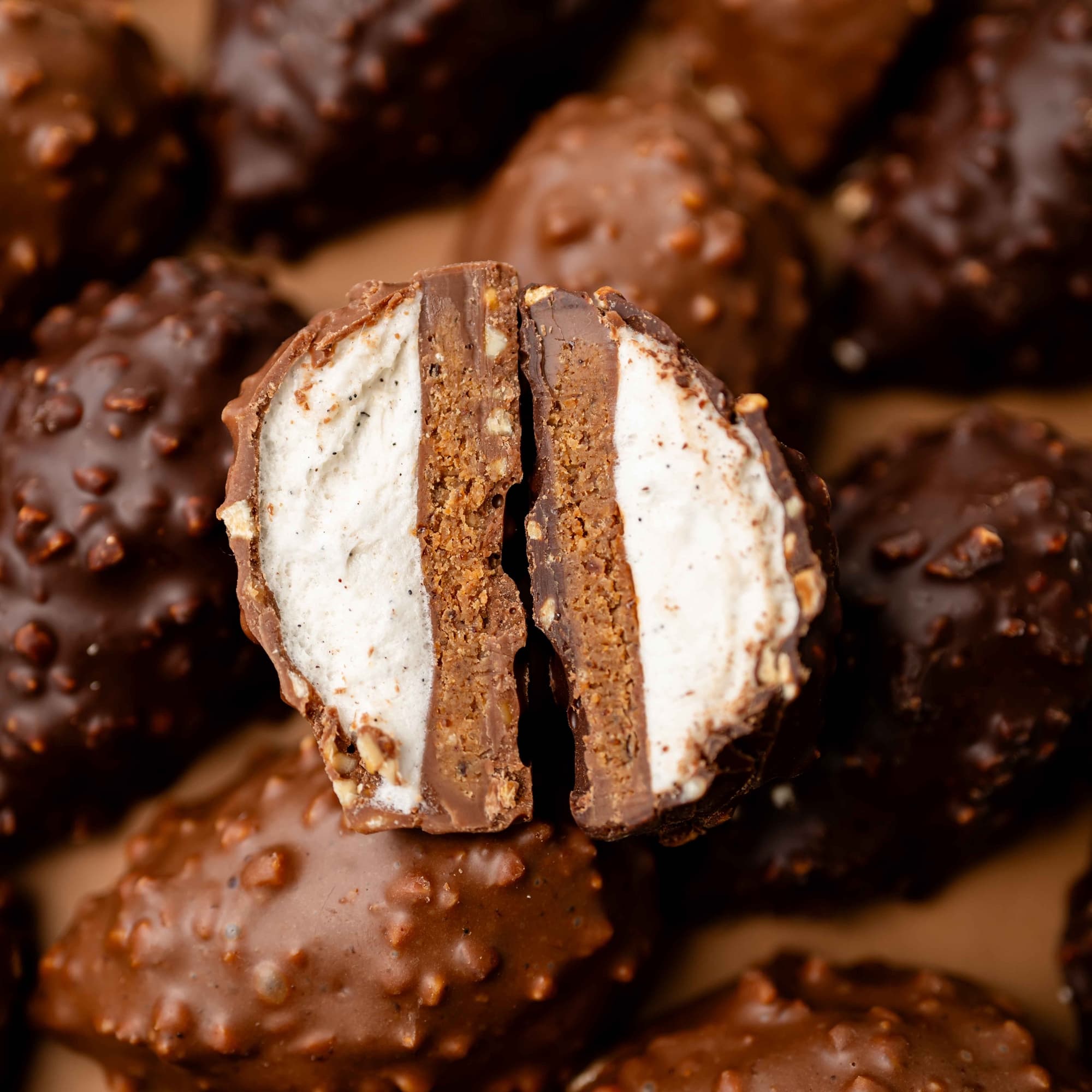 Le Choupisson x Jardin du Luxembourg